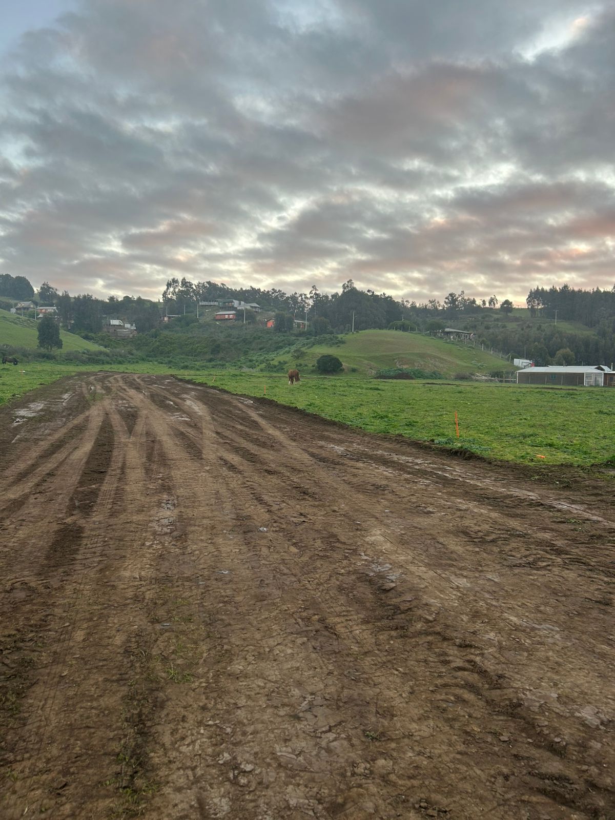 Vista del terreno