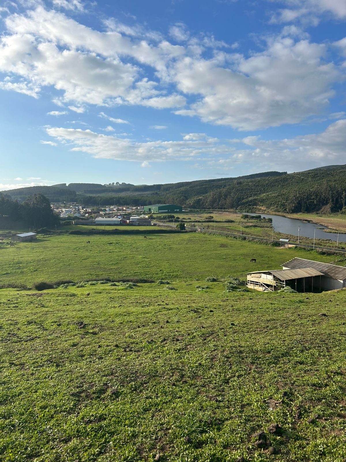 Vista del terreno