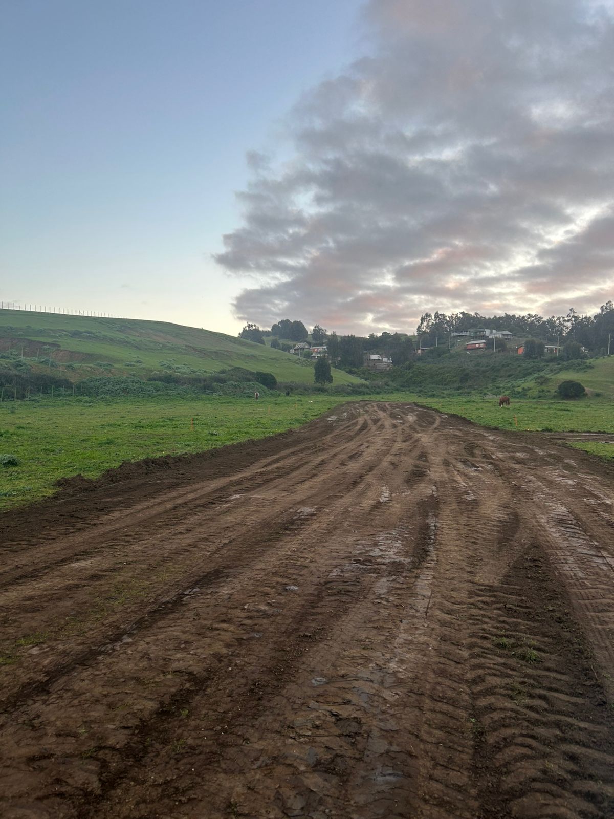 Vista del terreno